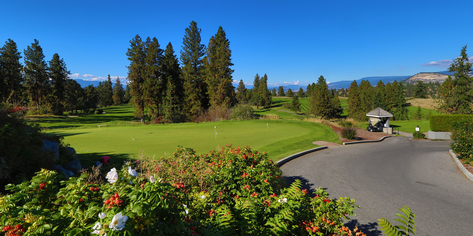 Kelowna Golf Courses Siesta Suites Kelowna